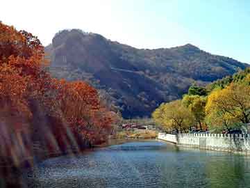 管家婆黑白马报图库，水晶板画